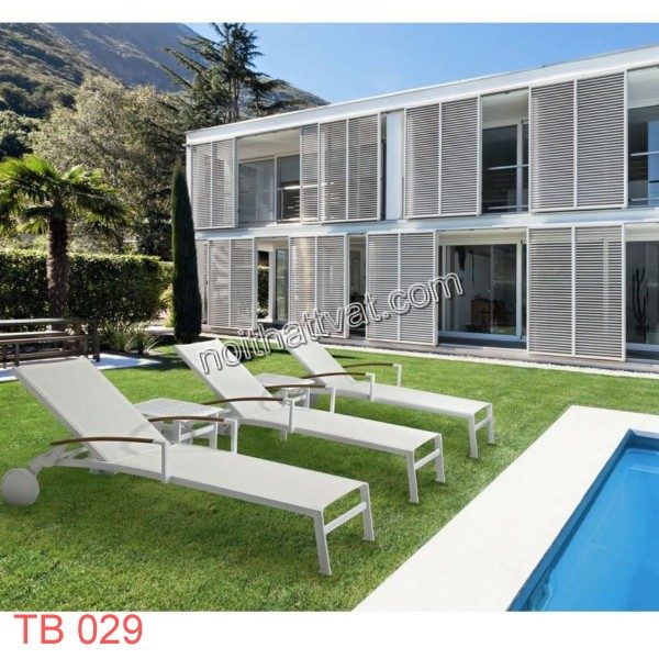 TB 029